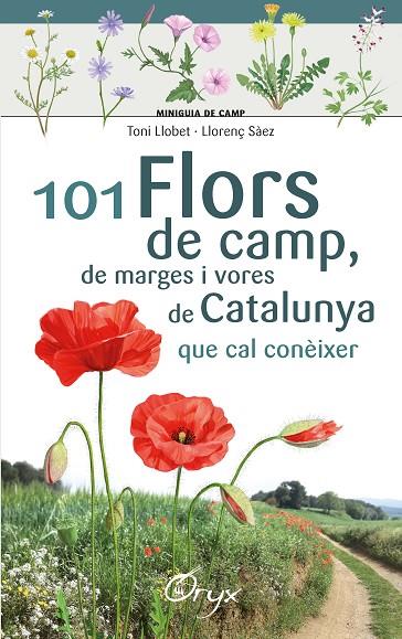 101 FLORS DE CAMP, DE MARGES I VORES DE CATALUNYA | 9788490348413 | LLOBET FRANÇOIS , TONI / SÀEZ GOÑALONS , LLORENÇ