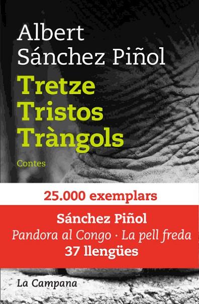 TRETZE TRISTOS TRANGOLS   (TELA) | 9788496735217 | SANCHEZ PIÑOL, ALBERT