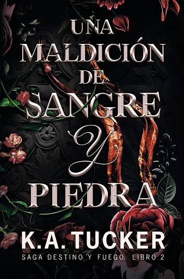 UNA MALDICIÓN DE SANGRE Y PIEDRA | 9788419621092 | TUCKER, K.A.