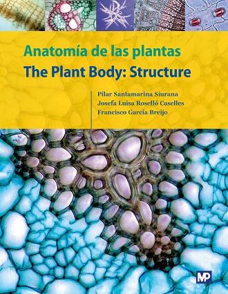 ANATOMÍA DE LAS PLANTAS/THE PLANT BODY: STRUCTURE | 9788484767336 | GARCÍA BREIJO, FRANCISCO JOSÉ / ROSELLÓ CASELLES, JOSEFA LUISA / SANTAMARINA SIURANA, MARÍA PILAR