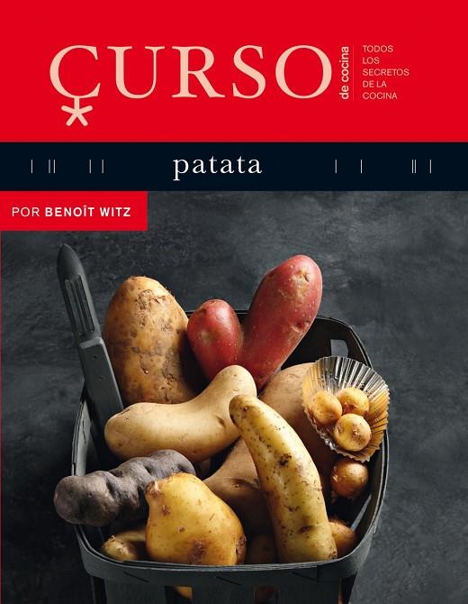 CURSO DE COCINA PATATA | 9788496669611 | WITZ, BENOIT