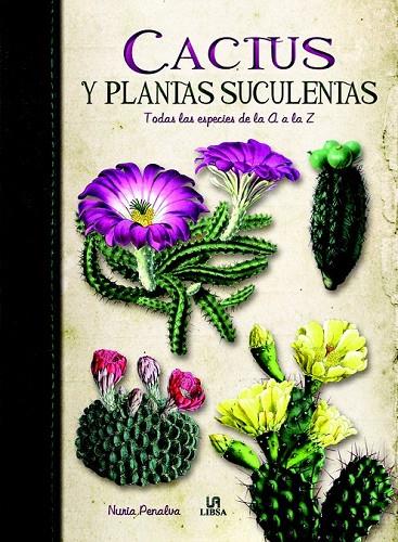 CACTUS Y PLANTAS SUCULENTAS | 9788466226325 | PENALVA, NURIA / ALTRES