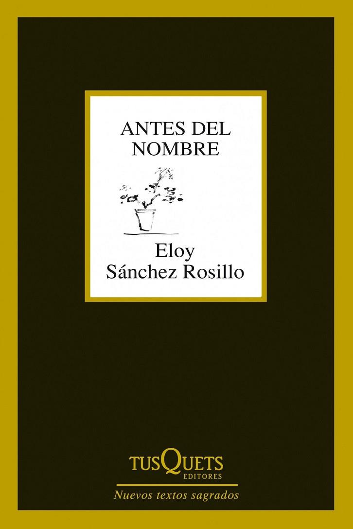ANTES DEL NOMBRE | 9788483834619 | SANCHEZ ROSILLO, ELOY