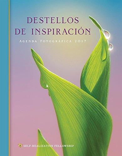 DESTELLOS DE INSPIRACIÓN 2017. AGENDA FOTOGRÁFICA | 9780876127070 | AA.VV