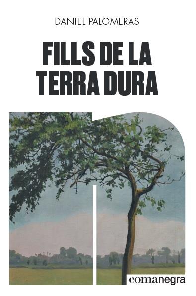 FILLS DE LA TERRA DURA | 9788418022296 | PALOMERAS CASADEJÚS, DANIEL