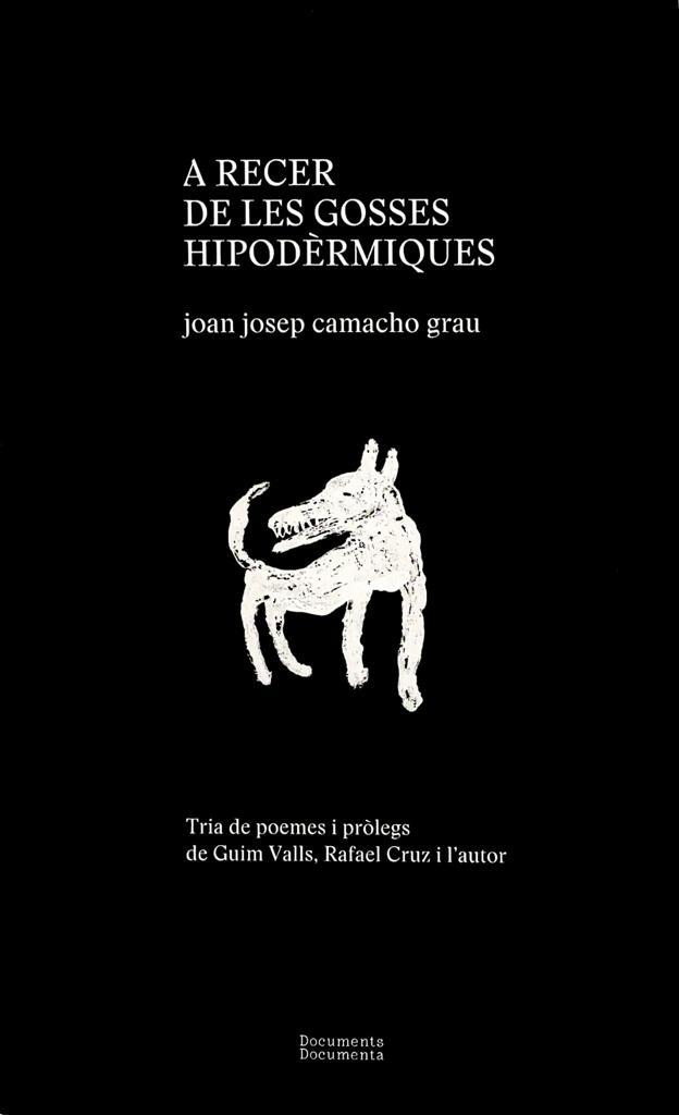 A RECER DE LES GOSSES HIPODÈRMIQUES | 9788412258257 | CAMACHO GRAU, JOAN JOSEP