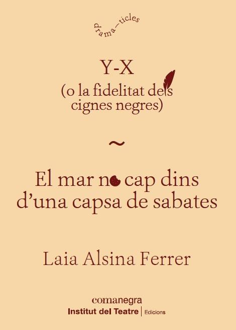 Y-X / EL MAR NO CAP DINS D'UNA CAPSA DE SABATES | 9788418022371 | ALSINA FERRER, LAIA