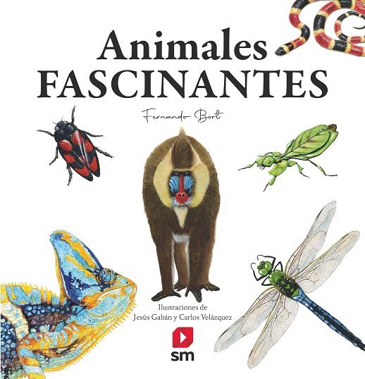 ANIMALES FASCINANTES | 9788413922188 | BORT MISOL, FERNANDO
