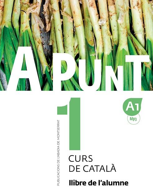 A PUNT 1 CURS DE CATALÀ LLIBRE DE L'ALUMNE | 9788498839906 | VILAGRASA GRANDIA, ALBERT