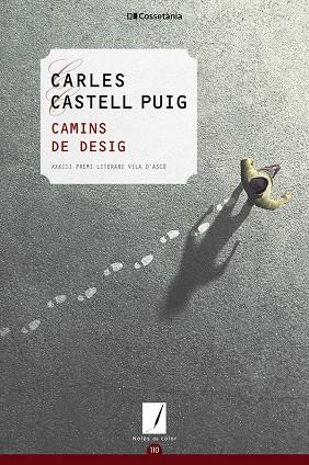 CAMINS DE DESIG | 9788413561592 | CASTELL PUIG, CARLES