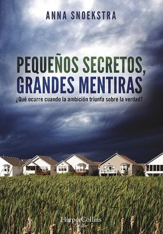 PEQUEÑOS SECRETOS, GRANDES MENTIRAS | 9788491395560 | SNOEKSTRA, ANNA