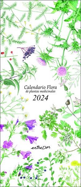 CALENDARIO FLORA DE PLANTAS MEDICINALES 2024 | 9788418900631 | VILALDAMA, PERE