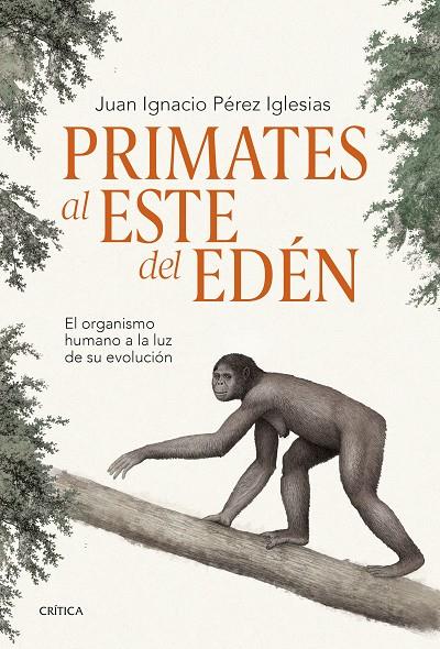 PRIMATES AL ESTE DEL EDÉN | 9788491995869 | PÉREZ IGLESIAS, JUAN IGNACIO