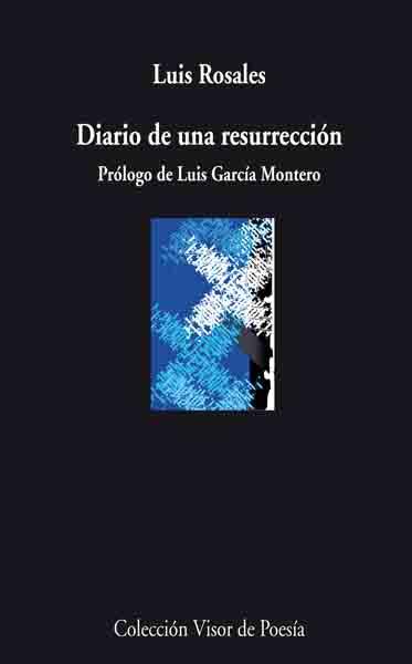 DIARIO DE UN RESURRECION | 9788498957440 | ROSALES, LUIS
