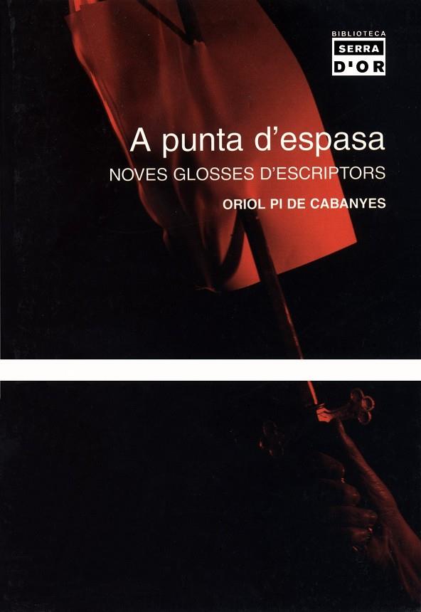 A PUNTA D'ESPASA -NOVES GLOSSES D'ESCRIPTORS- | 9788484157076 | PI DE CABANYES, ORIOL