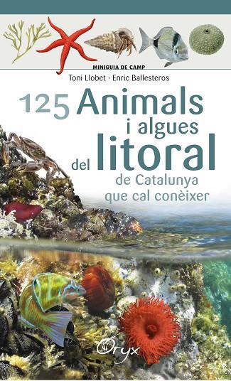 125 ANIMALS I ALGUES DEL LITORAL DE CATALUNYA | 9788490347416 | BALLESTEROS SAGARRA, ENRIC