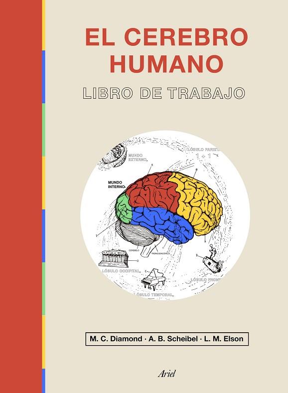 EL CEREBRO HUMANO | 9788434433601 | DIAMOND, MARIAN C. / ELSON, LAWRENCE M. / SCHEIBEL, A. B.
