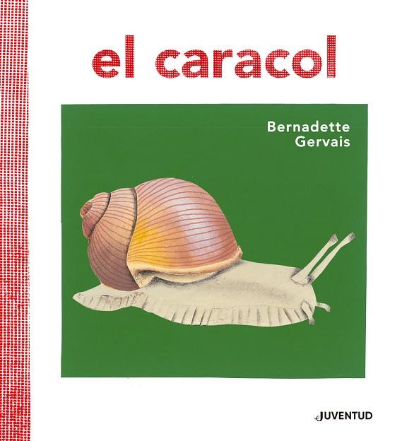 CARACOL EL | 9788426145673