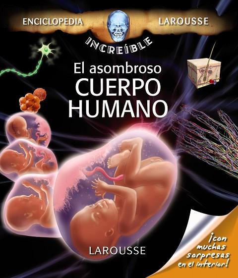 ASOMBROSO CUERPO HUMANO, EL | 9788480169400 | AA.VV