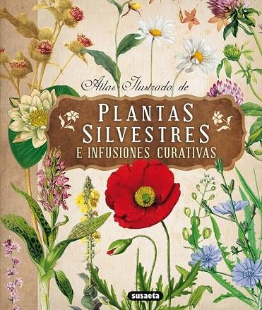 ATLAS ILUSTRADO DE PLANTAS SILVESTRES E INFUSIONES CURATIVAS | 9788467722864 | TOMANOVA, ELISKA