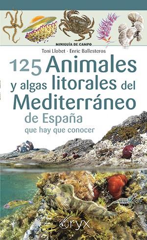 125 ANIMALES Y ALGAS LITORALES DEL MEDITERRÁNEO DE ESPAÑA QUE HAY QUE CONOCER | 9788418735400 | LLOBET, TONI / BALLESTEROS, ENRIC