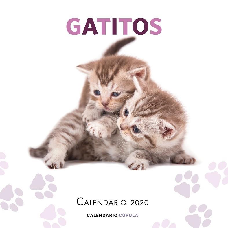 CALENDARIO GATITOS 2020 | 9788448026165 | AA. VV.