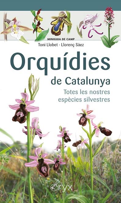 ORQUÍDIES DE CATALUNYA | 9788413560403 | SÀEZ GOÑALONS, LLORENÇ / LLOBET FRANÇOIS, TONI