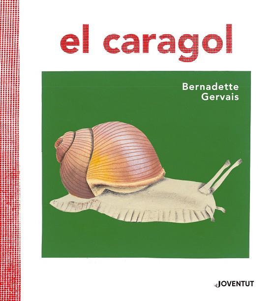 EL CARAGOL | 9788426145680 | GERVAIS, BERNADETTE