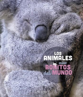 LOS ANIMALES MÁS BONITOS DEL MUNDO | 9788419436177 | LEDU, STÉPHANIE