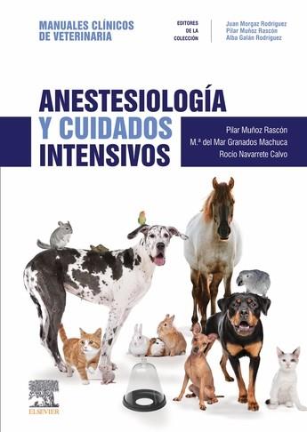 ANESTESIOLOGÍA Y CUIDADOS INTENSIVOS | 9788491133544 | MUÑOZ RASCÓN, PILAR