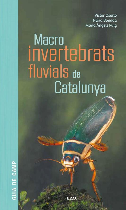MACROINVERTEBRATS FLUVIALS DE CATALUNYA | 9788418096204 | OSORIO ÁLVAREZ, VÍCTOR / PUIG GARCÍA, M. ÁNGELES / BONADA CAPARRÓS, NÚRIA