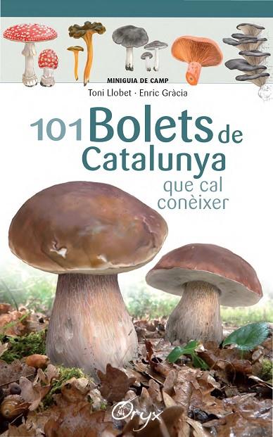 101 BOLETS DE CATALUNYA | 9788490347096 | LLOBET FRANÇOIS, TONI / GRÀCIA, ENRIC