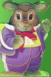 MASCOTAS DE BOLSILLO CONEJO | 9788495706232 | HERSEY, BOB