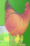 MASCOTAS DE BOLSILLO GALLINA | 9788495706157 | BAMPTON, BOB