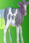 MASCOTAS DE BOLSILLO VACA | 9788495706164 | BAMPTON, BOB