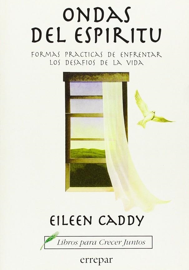 ONDAS DEL ESPIRITU | 9789507395420 | CADDY, AILEEN