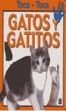 GATOS Y GATITOS | 9788448812362 | MÁRQUEZ COMINO, SILVIA/HINKLER BOORKS PTY. LTD. BOORK