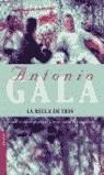 REGLA DE TRES, LA | 9788408043836 | GALA, ANTONIO