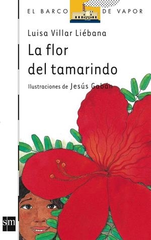 FLOR DE TAMARINDO | 9788434885356 | VILLAR, LUISA