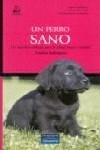 PERRO SANO, UN | 9788420540450 | RODRIGUEZ RODRIGUEZ, CARLOS