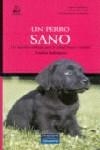 PERRO SANO, UN | 9788420540450 | RODRIGUEZ RODRIGUEZ, CARLOS