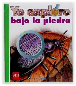 BAJO LA PIEDRA | 9788434896314 | ALLAIRE, CAROLINE