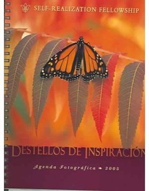 AGENDA 2005 DESTELLOS DE INSPIRACION | 9780876124826