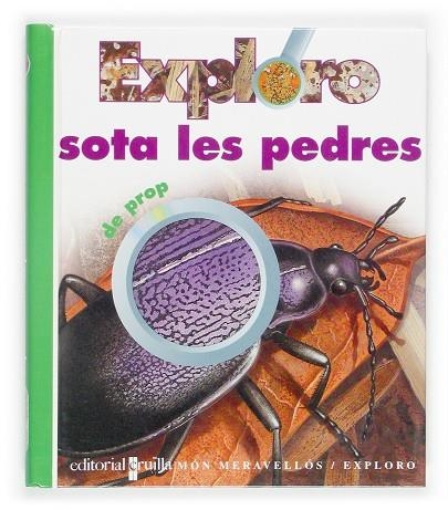 SOTA LES PEDRES | 9788466107259 | ALLAIRE, CAROLINE