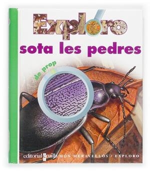 SOTA LES PEDRES | 9788466107259 | ALLAIRE, CAROLINE