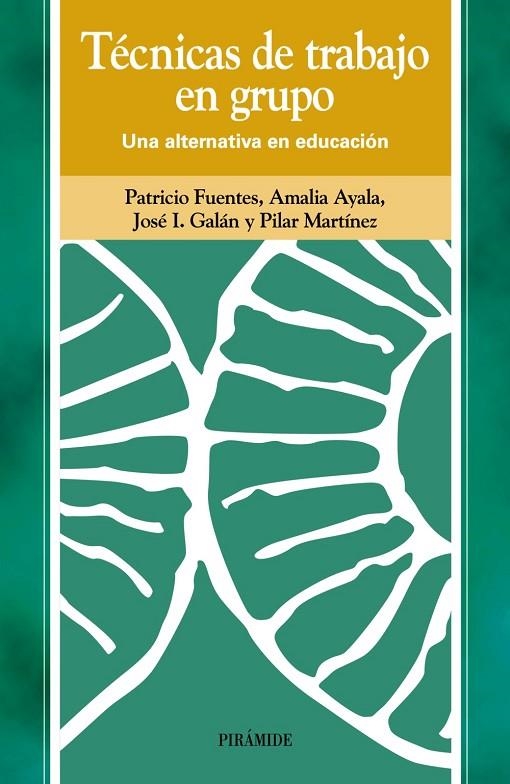 TECNICAS DE TRABAJO EN GRUPO | 9788436814408 | FUENTES, PATRICIO/AYALA, AMALIA/MARTINEZ, PILAR/GA