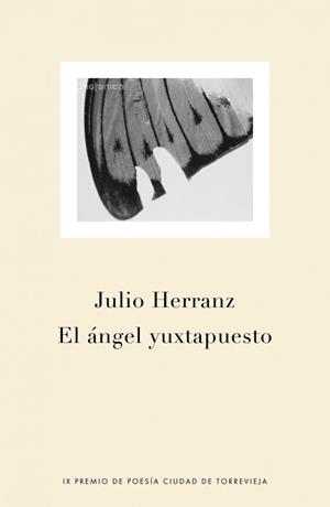 ANGEL YUXTAPUESTO, EL | 9788401379178 | HERRANZ, JULIO