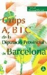 TEMARI GRUPS A,B I C DE LA DIPUTACIO PROVINCIAL DE BARCELONA | 9788466544825 | MARTOS NAVARRO, FERNANDO/LLEDÓS MONSÓ, ELENA