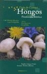 GUIA DE CAMPO DE LOS HONGOS DE LA PENINSULA IBERICA | 9788489716032 | LLAMAS FRADE, BASILIO / TERRON ALFONSO, ARSENIO