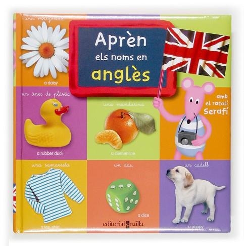 APREN ELS NOMS EN ANGLES | 9788466113717 | ÉDITIONS PLAY BAC,